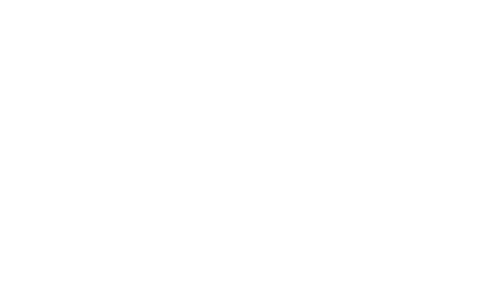 NK IT Service Logo